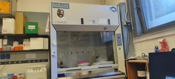 Chemical hood BioAir