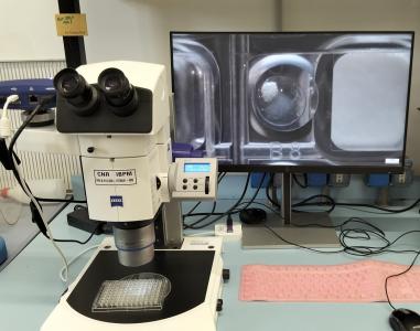 2 Stereomicroscopi Zeiss SteREO Discovery V20 KMAT 2 Stereomicroscopi Zeiss SteREO Discovery V20 KMAT