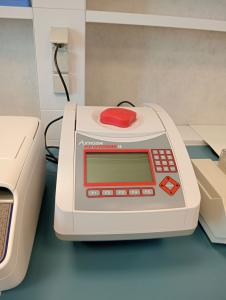 Termociclatore Axygen Maxygene II