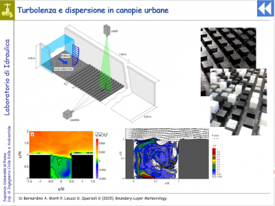 Canopie urbane Canopie urbane