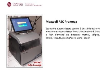 Maxwell RSC Promega