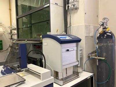 Camera di sviluppo automatica 