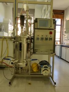 bioreactor