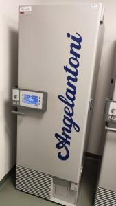 Ultracongelatore -80 °C