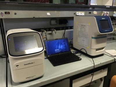 Real Time PCR machines