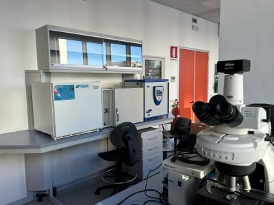 Veduta dell&#039;angolo incubatori e primo congelatore 