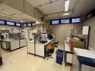 LABORATORIO DI IMMUNOLOGIA 