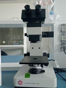 Microscopio invertito