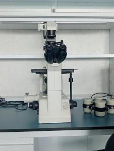 Microscopio invertito