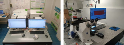 Perkin Elmer Spettrofotometro Lambda 1050+; Perkin Elmer Spettrofluorimetro FL6500; Zeiss Microscopio Fluorescenza Wide Field Axio Observer 7