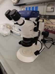 Microscopio Stemi 305