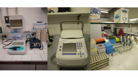 Strumentazione di base del laboratorio (da sn): Piastre termostatatata, vortex, PCR thermocycler, materiale di consumo e pipette da laboratorio