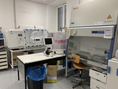 Hypoxic lab1