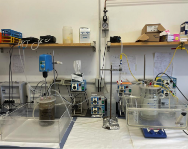 Reattori biologici per studi della velocità di consumo di ossigeno in reazioni biologiche