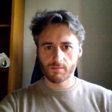 Ritratto di fabio.gianfrancesco@uniroma1.it