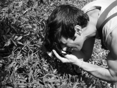 Ritratto di duilio.iamonico@uniroma1.it