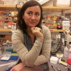 Ritratto di simona.giunta@uniroma1.it