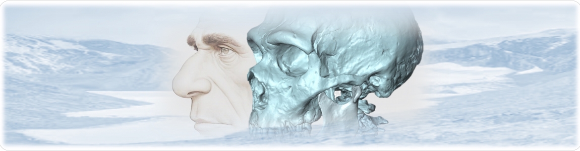 Neanderthal cranial features