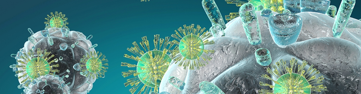 immune evasion immune evasion