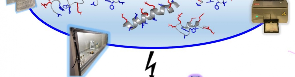 Screening and characterization of bioactive (antimicrobial) peptides against antibiotic resistance